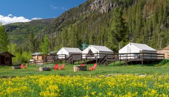 A picturesque campground with white canvas tents, wooden fences, and colorful chairs on a sunny meadow speckled with yellow flowers, backed by pine trees and mountains.