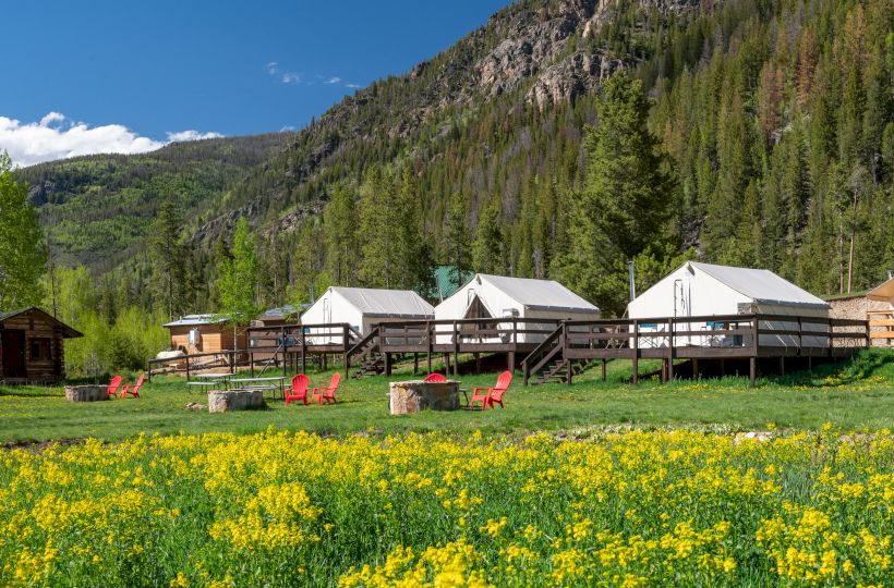 A picturesque campground with white canvas tents, wooden fences, and colorful chairs on a sunny meadow speckled with yellow flowers, backed by pine trees and mountains.