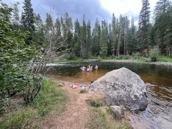 People swim and relax at a forested lakeshore, with a large rock, grassy bank, and calm water surrounded by tall trees.