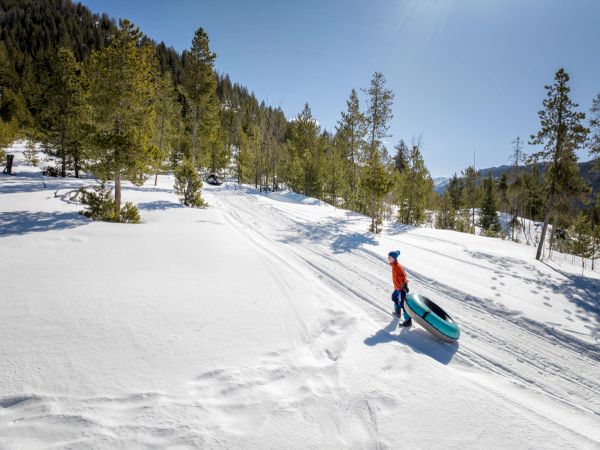 A person in a red jacket pulls a blue sled across a snowy, sunlit mountain slope, with pine trees lining the ridge and clear blue sky above.