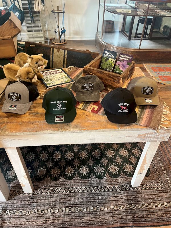 A wooden table displays stuffed animals, three tote bags, and five baseball caps in gray, green, and black, with a rustic shop backdrop.