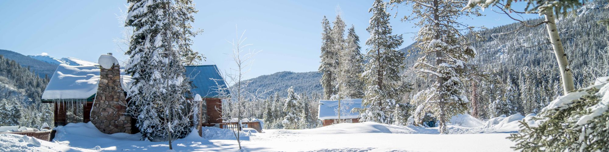 A snowy alpine scene with tall snow‑covered trees, a cozy cabin, and blue sky on a bright winter day, footprints and shadows across the snow.