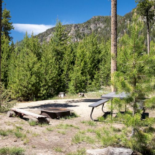 A sunlit pine forest campsite with a rustic picnic table, bench, and a campfire ring, set on a dirt clearing near tall trees and mountains.