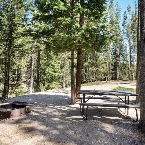 A forested campsite with tall trees, a picnic table, and a metal fire ring on a sandy clearing, shaded by pines and dappled sunlight.