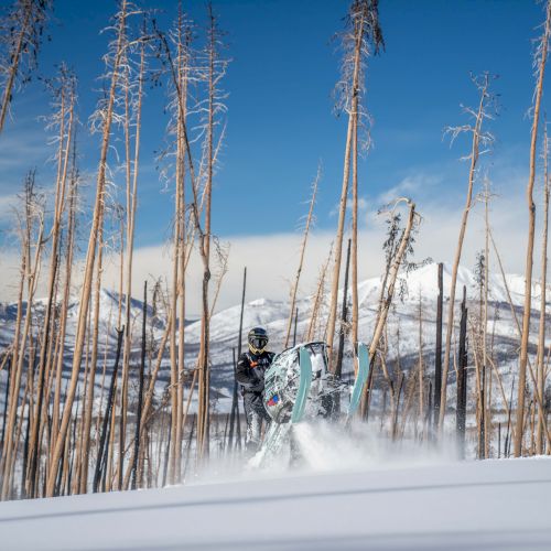 People skiing through a snowy forest with tall, bare trees and a clear blue sky, creating a dramatic alpine scene.