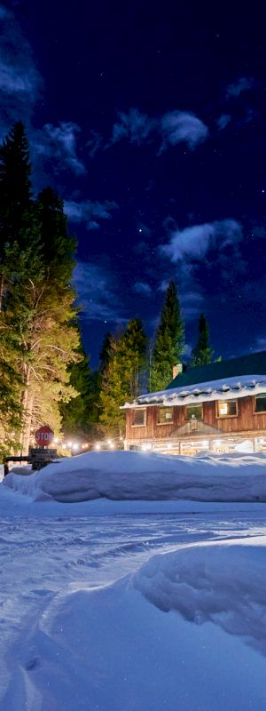 A snowy town street at night with streetlights, a few houses, and a clear starry sky above.
