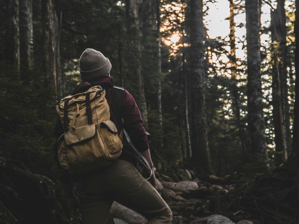 A person with a backpack hikes through a dense forest at sunset, stepping over rocks along a trail.