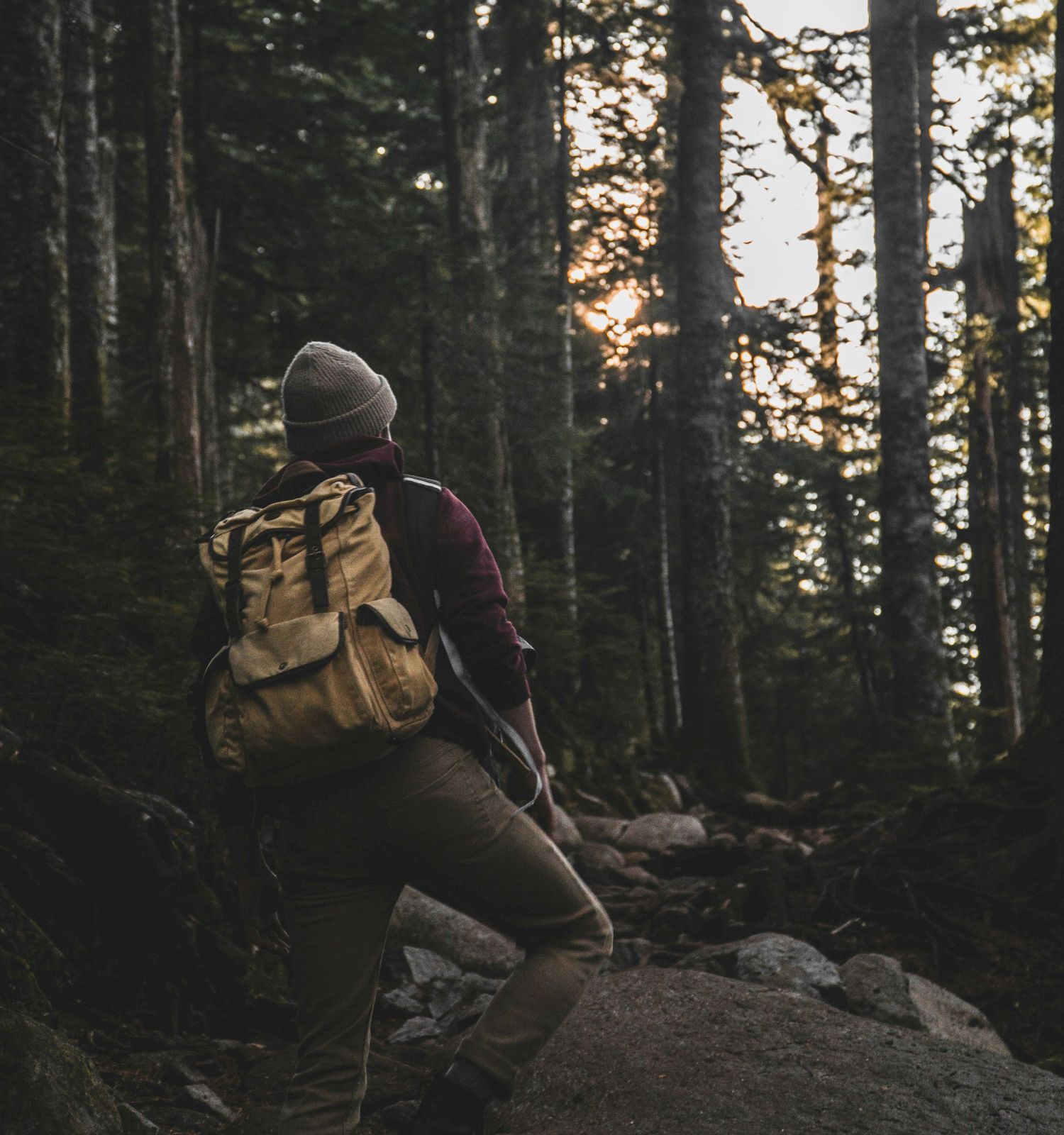 A person with a backpack hikes through a dense forest at sunset, stepping over rocks along a trail.