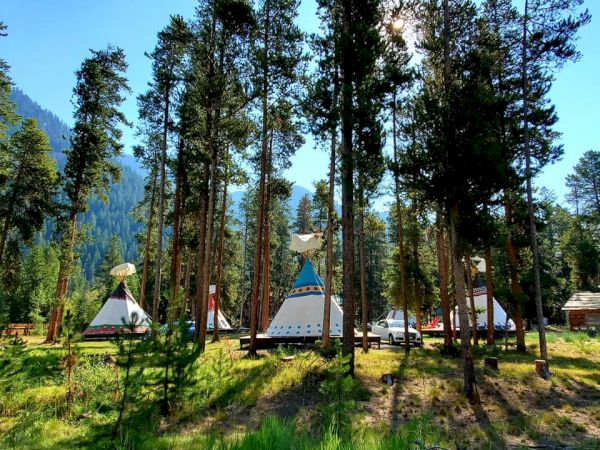 A grove of tall pine trees surrounds a campsite with white teepee tents set among green grass and shadows, mountains in the background.