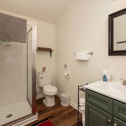 A small bathroom with a glass shower, toilet, white sink on a green vanity, a wall mirror, towel rack, and wooden floor.