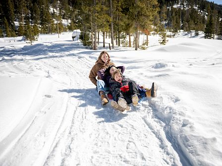 Two people ride a sled down a snowy hill, laughing as they glide through fresh powder with pine trees in the background.