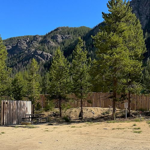A sunny outdoor scene with tall pine trees, a wooden fence, rocky hills in the background, and a clear blue sky above.