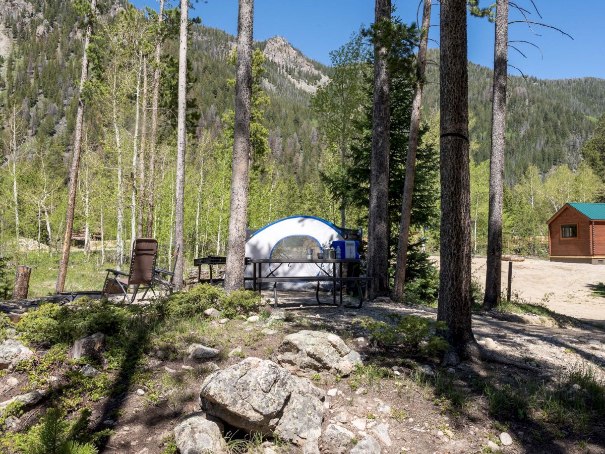 A campsite in a forest with a dome tent, chairs, a table, and a wooden cabin nearby under tall pine trees.