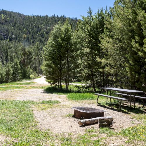 A sunny meadow with trees, a wooden bench and tables, and distant mountains under a clear blue sky.