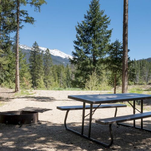 A sunny outdoor campsite with a wooden bench and table, tall pine trees, and a clear blue sky; a peaceful nature setting.