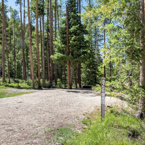 A dirt road winds through a forest with tall trees and green foliage, a small wooden cabin on the left, and sunlight filtering through.