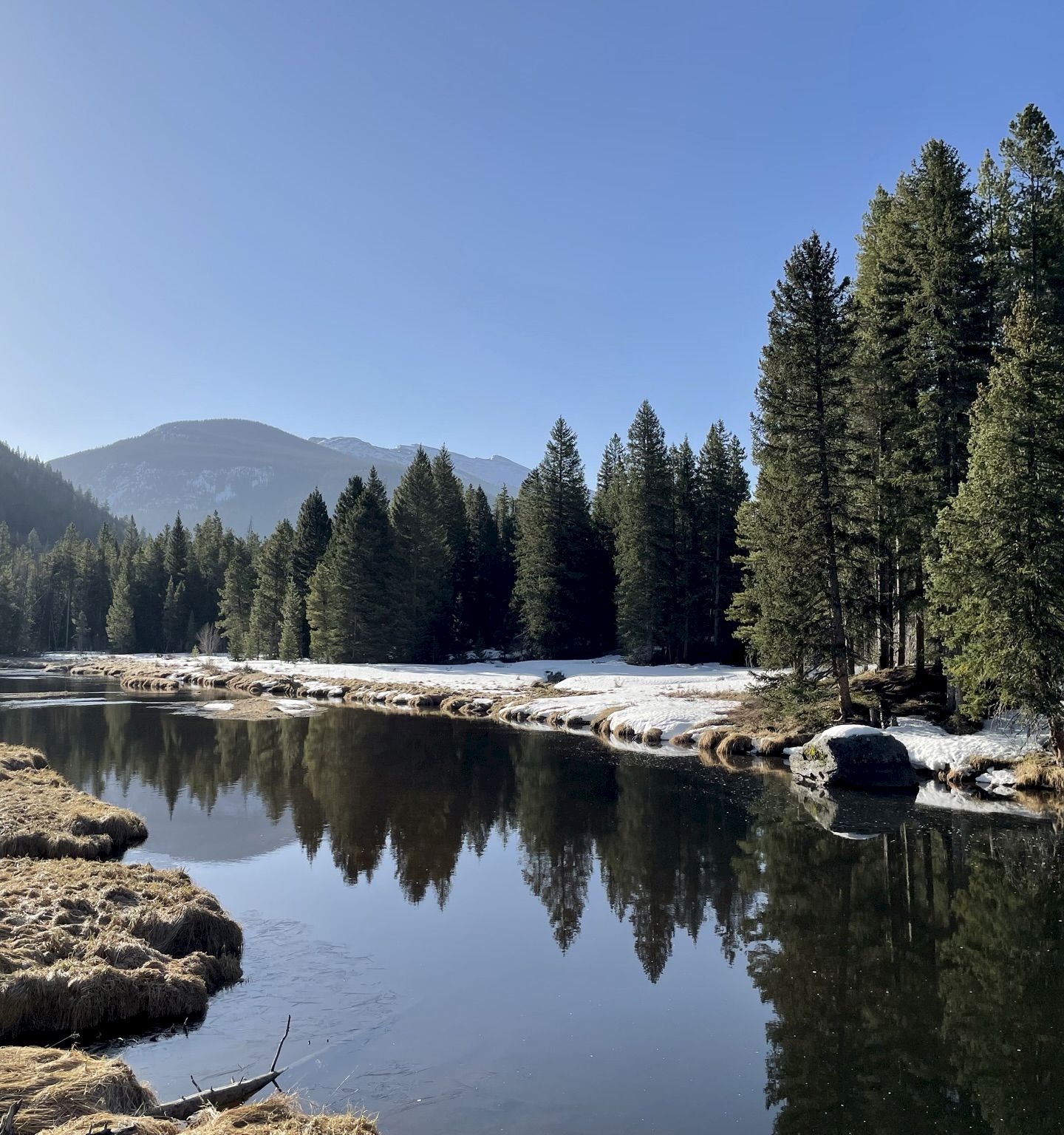 Snow-dusted lake with calm water reflecting pine trees; rocky shoreline and distant mountains under a clear blue sky.
