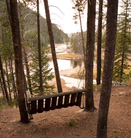A wooden bench sits among tall trees overlooking a winding river valley in a forested scene.