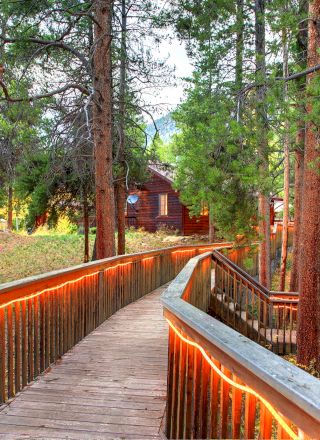 A wooden boardwalk winds through a forest, glowing with warm string lights, leading to rustic cabins amid tall pine trees.