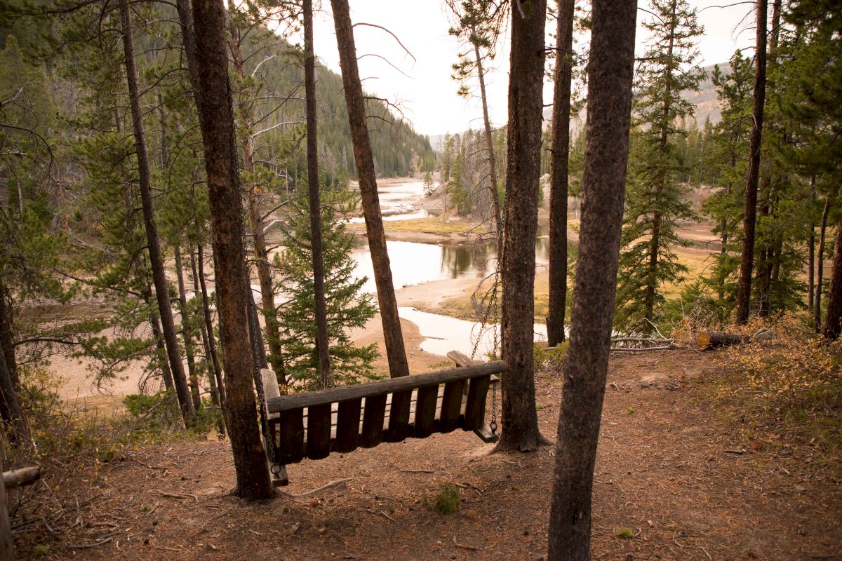 A wooden bench sits among tall pines overlooking a winding river valley with sandy banks in a quiet forested scene.