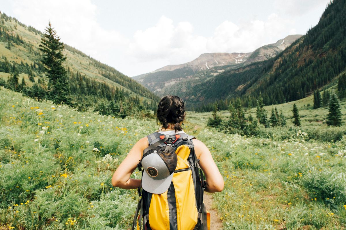 A hiker with a backpack stands in a wildflower meadow, facing lush mountain valleys and pine forests.