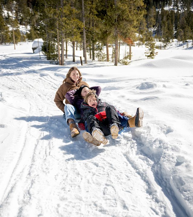 A child and two friends sled downhill on a snowy trail through a winter forest, laughing in the sunshine.