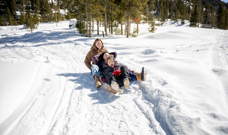 A child and two friends sled downhill on a snowy trail through a winter forest, laughing in the sunshine.